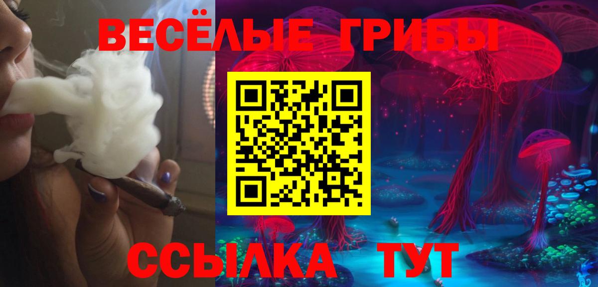 Псилоцибиновые грибы Psilocybe Трёхгорный